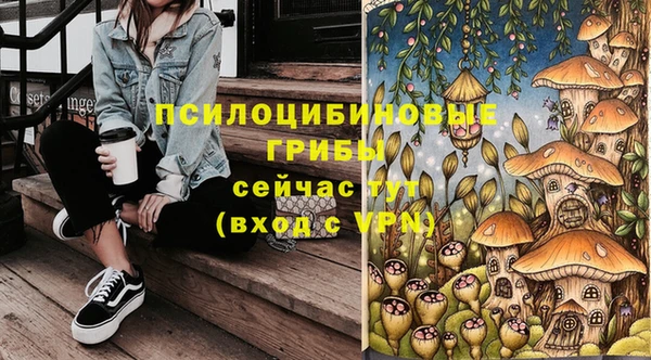 2c-b Пролетарск