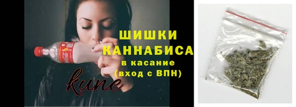 стаф Протвино