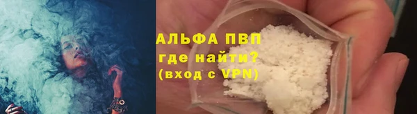 spice Бородино