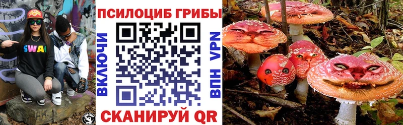 Галлюциногенные грибы прущие грибы  купить наркотик  Судогда 